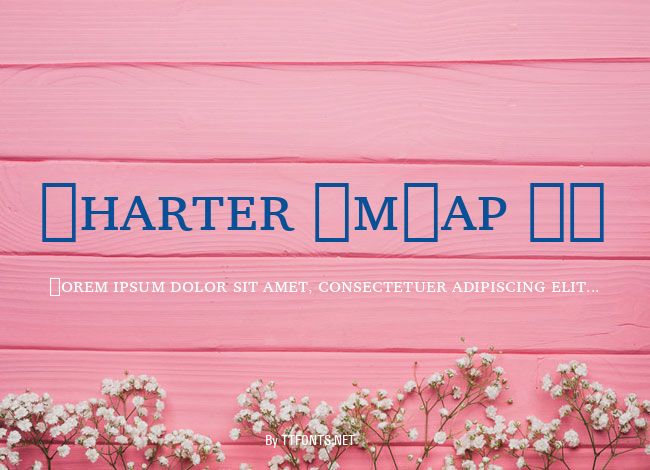 Charter SmCap BT example